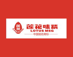 福來(lái)品牌營(yíng)銷策劃公司 2013年全案營(yíng)銷策劃回顧與展望